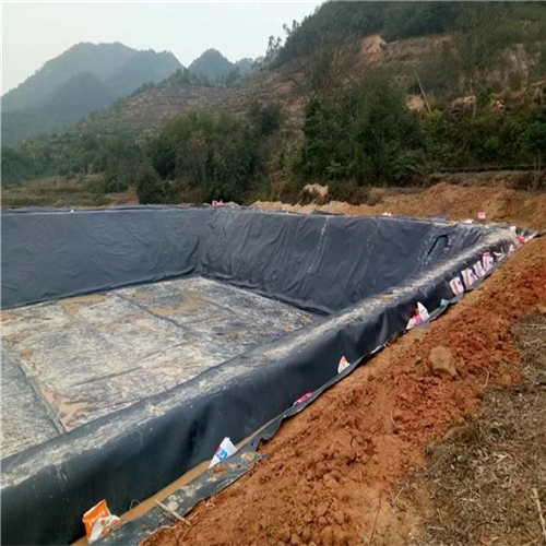 您了解魚(yú)塘防滲膜施工方法有哪些嗎？